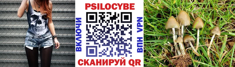 кракен ссылки Вельск Галлюциногенные грибы мицелий цены наркотик